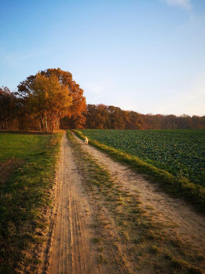 Gaestehaeuschen „Kleine Auszeit“ Greifswald Exterior foto